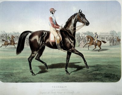 Rennen: Suzerain, Gewinner des Chantilly-Derbys 1868. Lithographie von Albert Adam (1833-?) Private Sammlung von Albert Adam