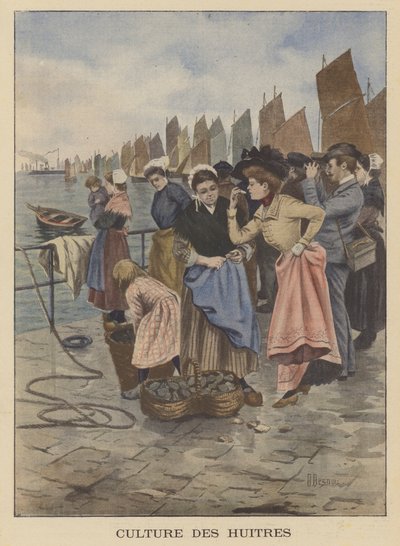Austern ernten in Cancale, Bretagne von Albert Besnou