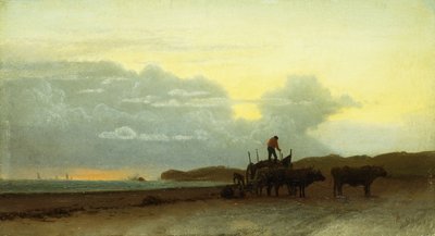 Küstenansicht, Newport, 1861 von Albert Bierstadt