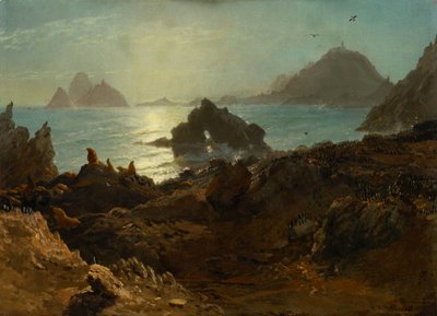 Farallon-Inseln, Pazifischer Ozean, Kalifornien von Albert Bierstadt