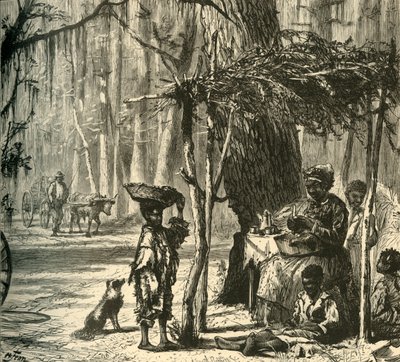 Eine Straßenszene in der Nähe von Charleston, 1872 von Albert Bobbett