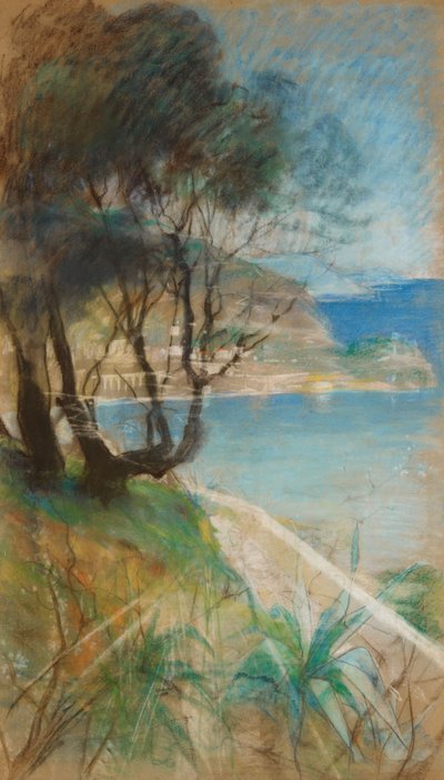 Landschaft vom Mittelmeer von Albert Edelfelt