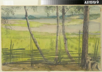 Sommerlandschaft von Albert Edelfelt