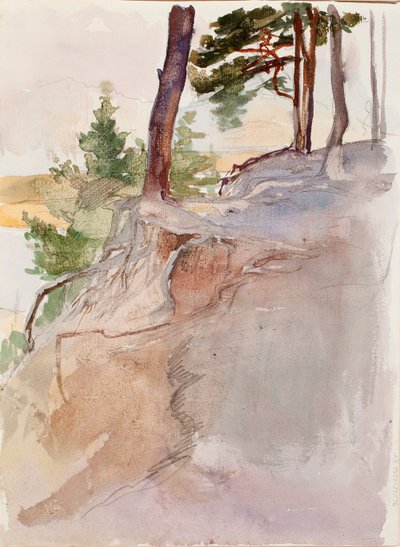 Ohne Titel von Albert Edelfelt