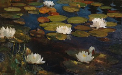 Seerosen, Studie für Jugend und eine Meerjungfrau von Albert Edelfelt