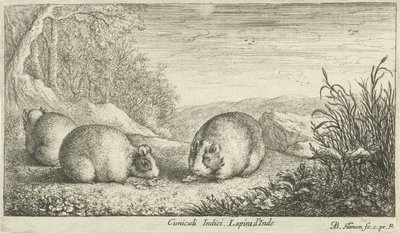 Nagetiere von Albert Flamen