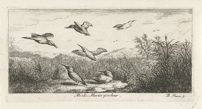 Landschaft mit Eisvögeln von Albert Flamen
