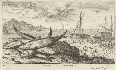 Sardinen am Strand von Albert Flamen