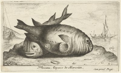 Zwei Schweinswale am Strand von Albert Flamen