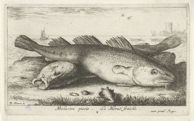 Zwei Kabeljaue am Strand von Albert Flamen
