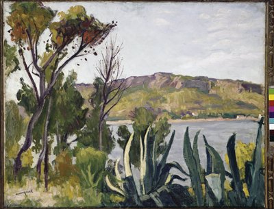 Landschaft mit Agave von Albert Marquet