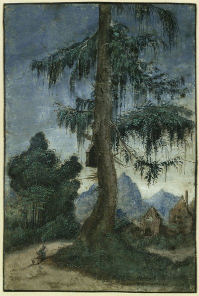 Landschaft mit Fichte von Albrecht Altdorfer