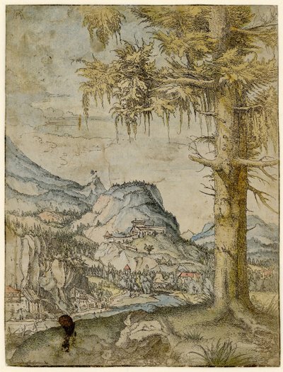 Große Fichte von Albrecht Altdorfer
