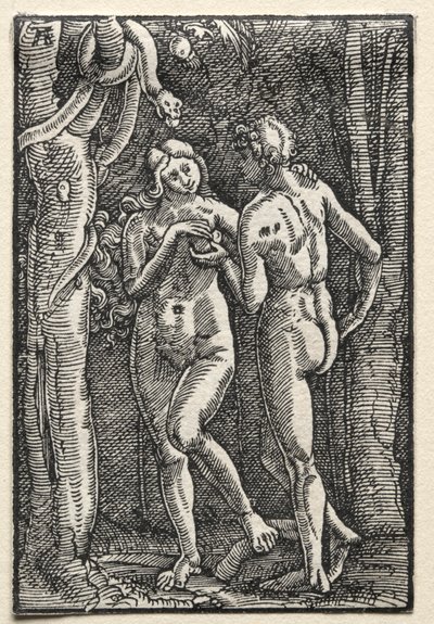 Der Fall und die Erlösung des Menschen: Adam und Eva essen die verbotene Frucht, um 1515 von Albrecht Altdorfer