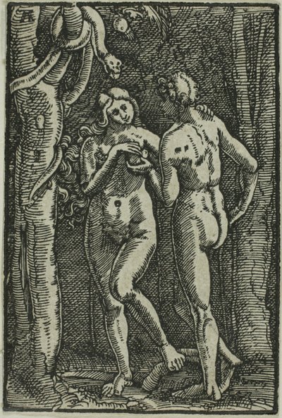 Der Sündenfall, aus Der Fall und die Erlösung des Menschen von Albrecht Altdorfer