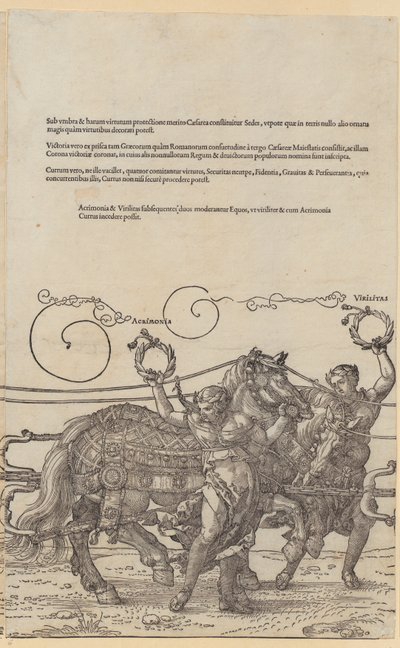 Acrimonia, Blatt 6 der Folge "Der Große Triumphwagen" von Albrecht Dürer