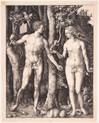  von Albrecht Dürer
