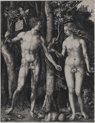 Adam und Eva von Albrecht Dürer