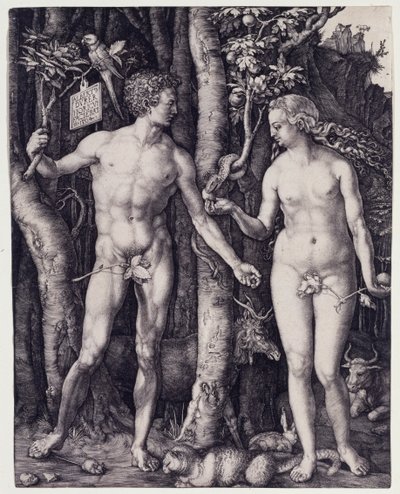 Adam und Eva von Albrecht Dürer