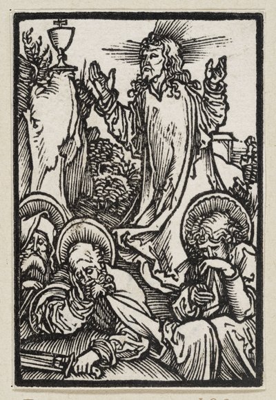  von Albrecht Dürer