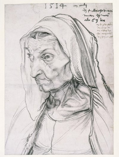  von Albrecht Dürer