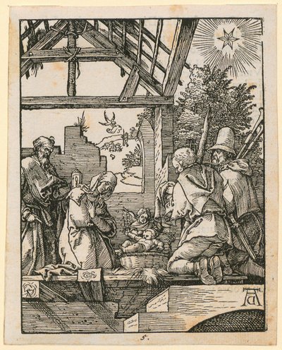  von Albrecht Dürer