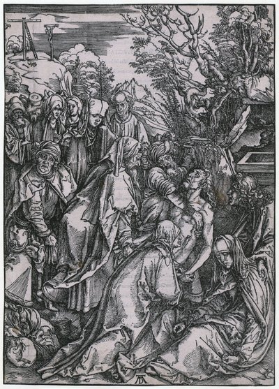  von Albrecht Dürer