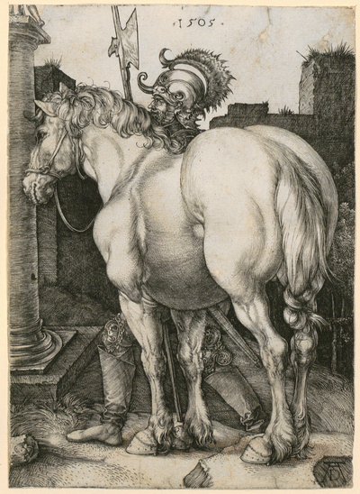  von Albrecht Dürer