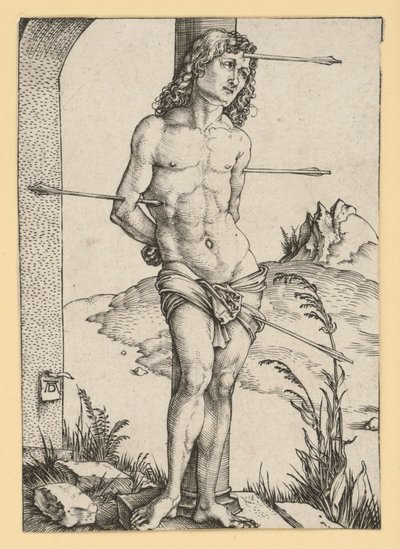  von Albrecht Dürer