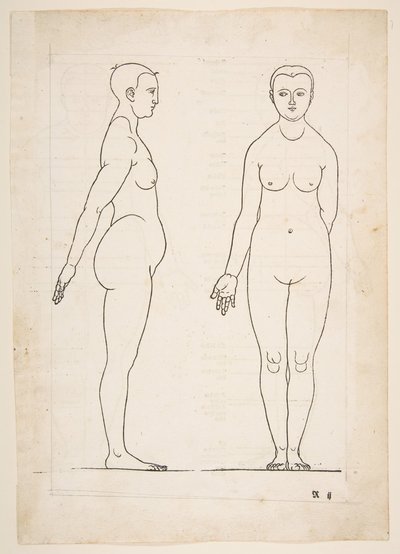 Illustration aus Dürers Vier Bücher von menschlicher Proportion, Nürnberg, 1528 von Albrecht Dürer