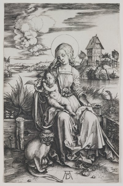 von Albrecht Dürer