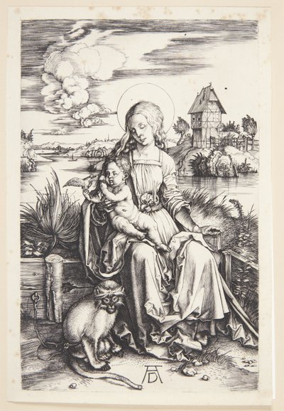 Madonna mit dem Affen von Albrecht Dürer