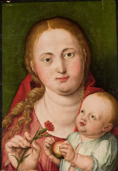 Madonna mit Kind und Nelke von Albrecht Dürer
