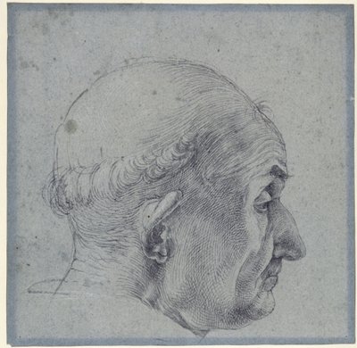 Männlicher Kopf im Profil von Albrecht Dürer