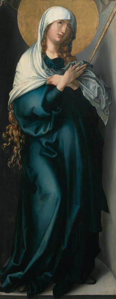  von Albrecht Dürer