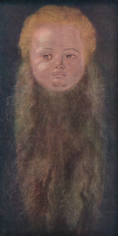 Porträt eines Jungen mit langem Bart von Albrecht Dürer