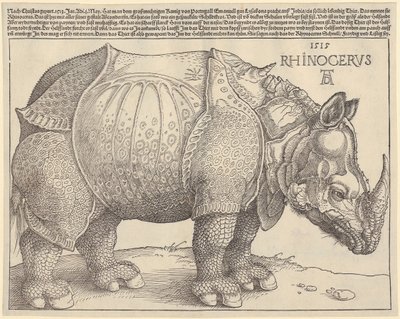 Nashorn von Albrecht Dürer