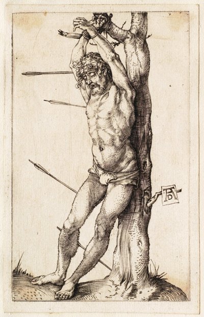  von Albrecht Dürer