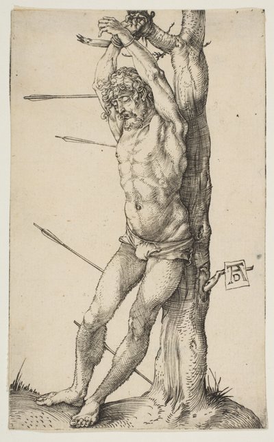  von Albrecht Dürer