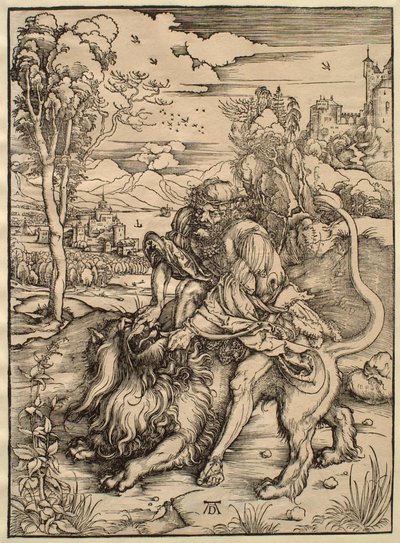  von Albrecht Dürer
