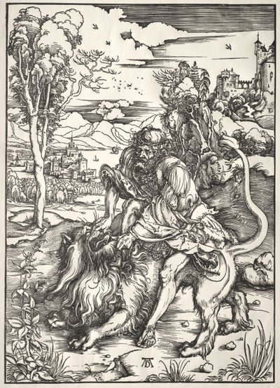  von Albrecht Dürer