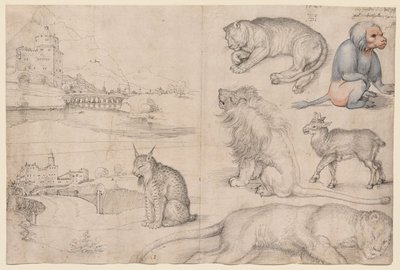  von Albrecht Dürer