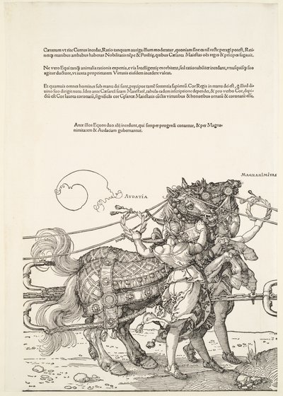  von Albrecht Dürer