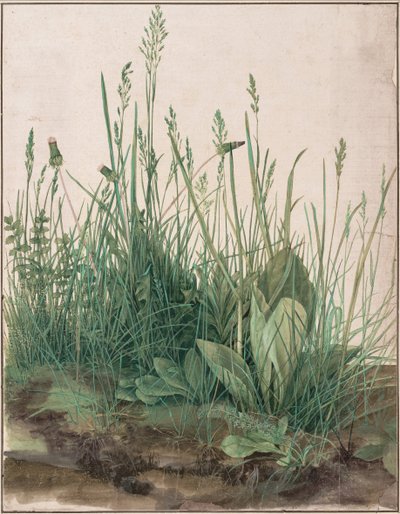 Das große Stück Rasen, 1503 von Albrecht Dürer