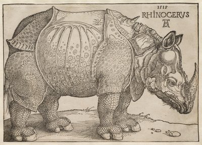 Das Nashorn von Albrecht Dürer
