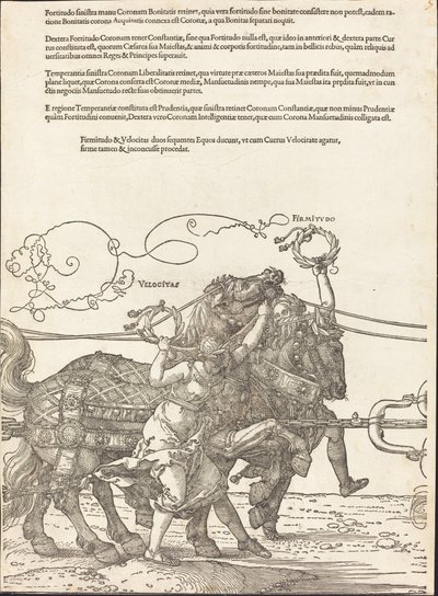 Der Triumphwagen von Maximilian I. (Der große Triumphwagen) [Platte 5 von 8] von Albrecht Dürer