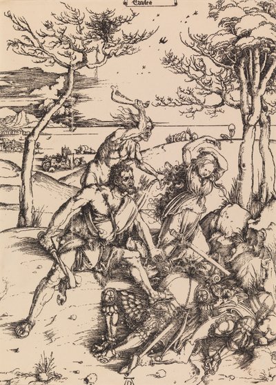 Ohne Titel von Albrecht Dürer
