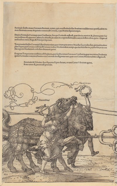  von Albrecht Dürer
