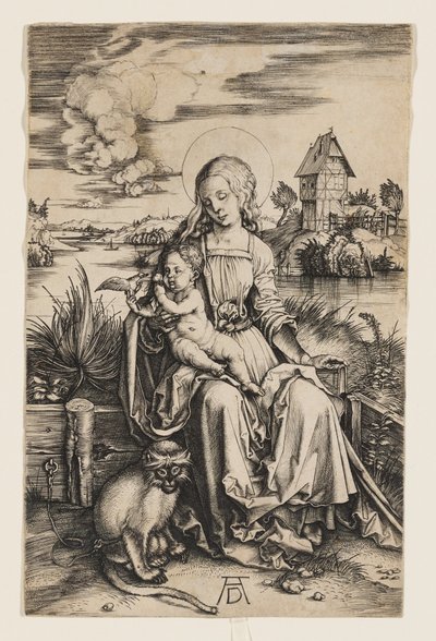 Jungfrau und Kind mit dem Affen von Albrecht Dürer