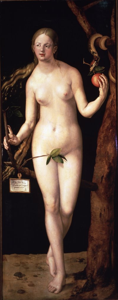 Eva von Albrecht Dürer or Duerer